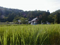 ほのぼの農園
