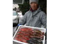 阿部鮮魚店の鮮魚